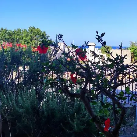 Mennulita * Липари