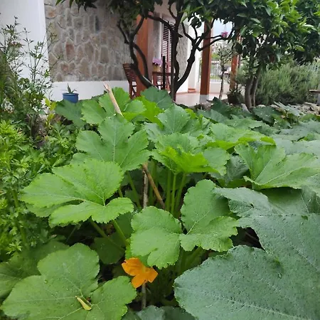 Mennulita Апартаменты *