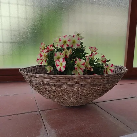 Апартаменты Mennulita