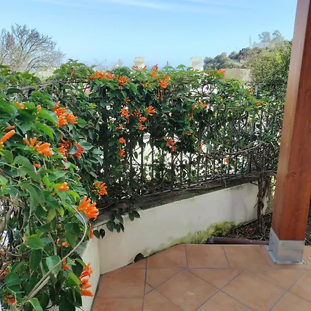 Апартаменты Mennulita